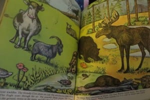 animal book