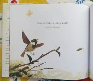 bird books for preschoolers